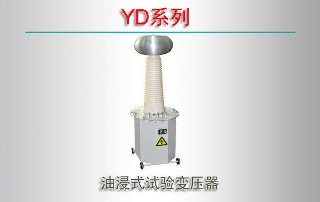 YDϵ ͽʽѹ