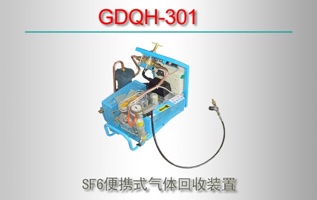 GDQH-301 SF6Яʽװ