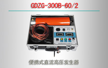 GDZG-300B-60/2 Яʽֱѹ